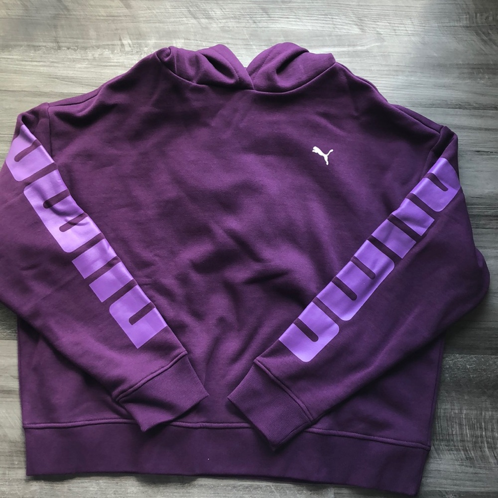 Puma Hooded Sweatshirt